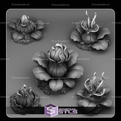 August 2025 Fantastic Plants and Rocks Miniatures