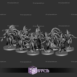 August 2025 Fantasy Cult Miniatures