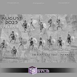 August 2025 Madox Historical Miniatures