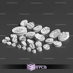 August 2025 Sacrusmundus Miniatures