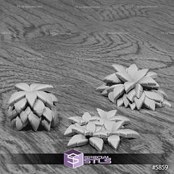 August 2025 Set 132 - Jungle Untamed Epic Miniatures