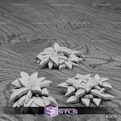 August 2025 Set 132 - Jungle Untamed Epic Miniatures