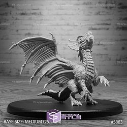 August 2025 Set 132 - Jungle Untamed Epic Miniatures