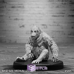 August 2025 Set 132 - Jungle Untamed Epic Miniatures