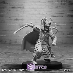 August 2025 Set 133 - Ninja Legends Epic Miniatures