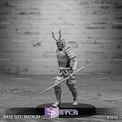August 2025 Set 133 - Ninja Legends Epic Miniatures