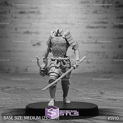 August 2025 Set 133 - Ninja Legends Epic Miniatures