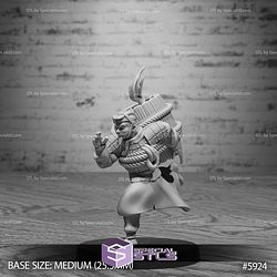 August 2025 Set 133 - Ninja Legends Epic Miniatures