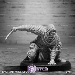 August 2025 Set 133 - Ninja Legends Epic Miniatures