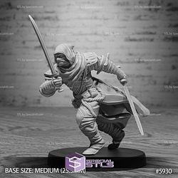 August 2025 Set 133 - Ninja Legends Epic Miniatures