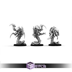 August 2025 The Makers Cult Miniatures