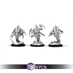 August 2025 The Makers Cult Miniatures