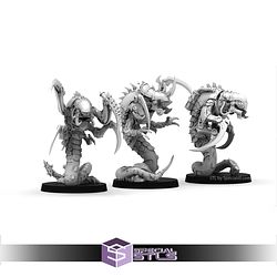 August 2025 The Makers Cult Miniatures
