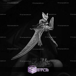 August 2025 Warp Miniatures