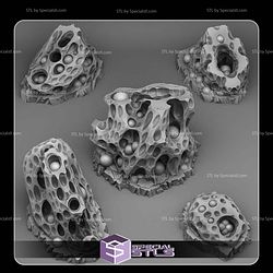 July 2025 Fantastic Plants and Rocks Miniatures