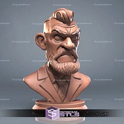 Mini Bust Character Collection STL Conor McGregor