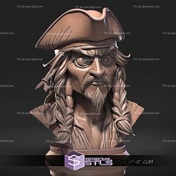 Mini Bust Character Collection STL Jack Sparrow