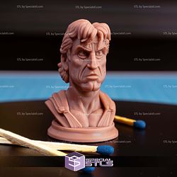 Mini Bust Character Collection STL Rambo