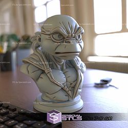Mini Bust Character Collection STL Raphael TMNT