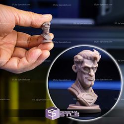 Mini Bust Character Collection STL Superman