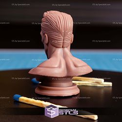 Mini Bust Character Collection STL T800