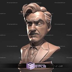 Mini Bust Character Collection STL Tony Stark