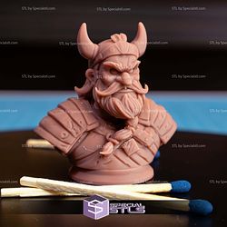 Mini Bust Character Collection STL Viking