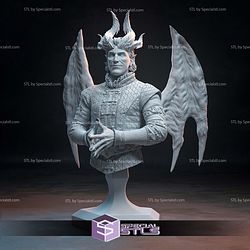 Raphael Baldurs Gate Bust 3D Printer Files