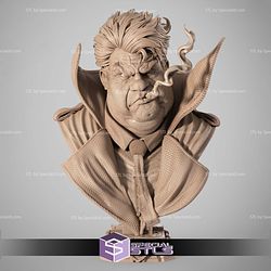 Sam Burke Spawn Portrait Bust 3D Printer Files