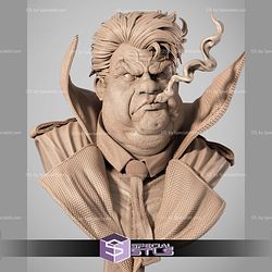 Sam Burke Spawn Portrait Bust 3D Printer Files