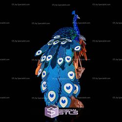 Super Basic STL Mayura the Peafowl
