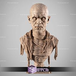 The Mummy Portrait Bust 3D Printer Files