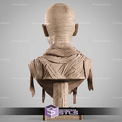 The Mummy Portrait Bust 3D Printer Files