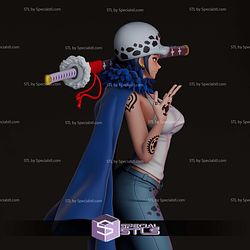 Trafalgar Law Girl Version 3D Printer Files
