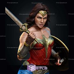 Wonder Woman Attack 3D Printer Files