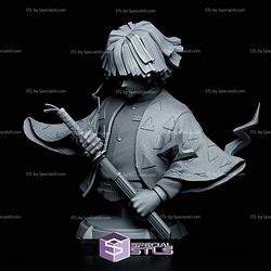 Zenitsu Close Eye Bust 3D Printer Files