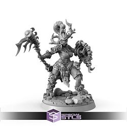 September 2025 Signum Workshop Miniatures