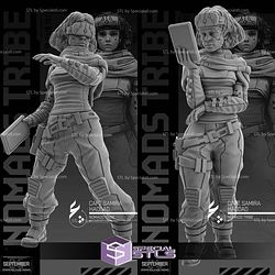 September 2025 Unit 9 Miniatures