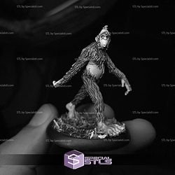 September 2025 Warp Miniatures