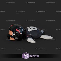Basic STL Collection Football Turtle Houston Texans