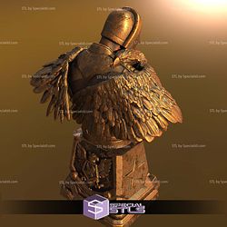 Basic STL Collection Peacemaker Bust