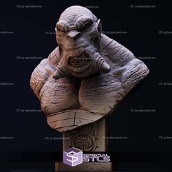 Simple STL Collection Mr Wink Bust Hellboy