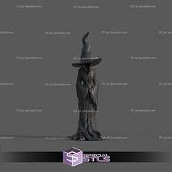 Super Basic STL Cracker Barrel Witch Figurine