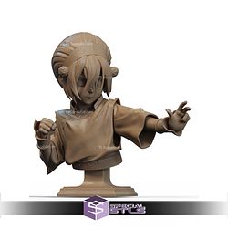 Toph Beifong 1-6 Scale Bust STL Files