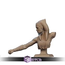 Ahsoka Tano Base Tree Bust STL Files