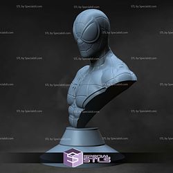 Amazing Spiderman Bust STL Files