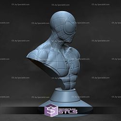 Amazing Spiderman Bust STL Files