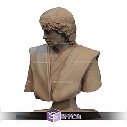 Anakin Skywalker Lighting Bust STL Files