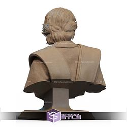 Anakin Skywalker Lighting Bust STL Files