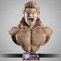Banshee Marvel Heroes Bust STL Files